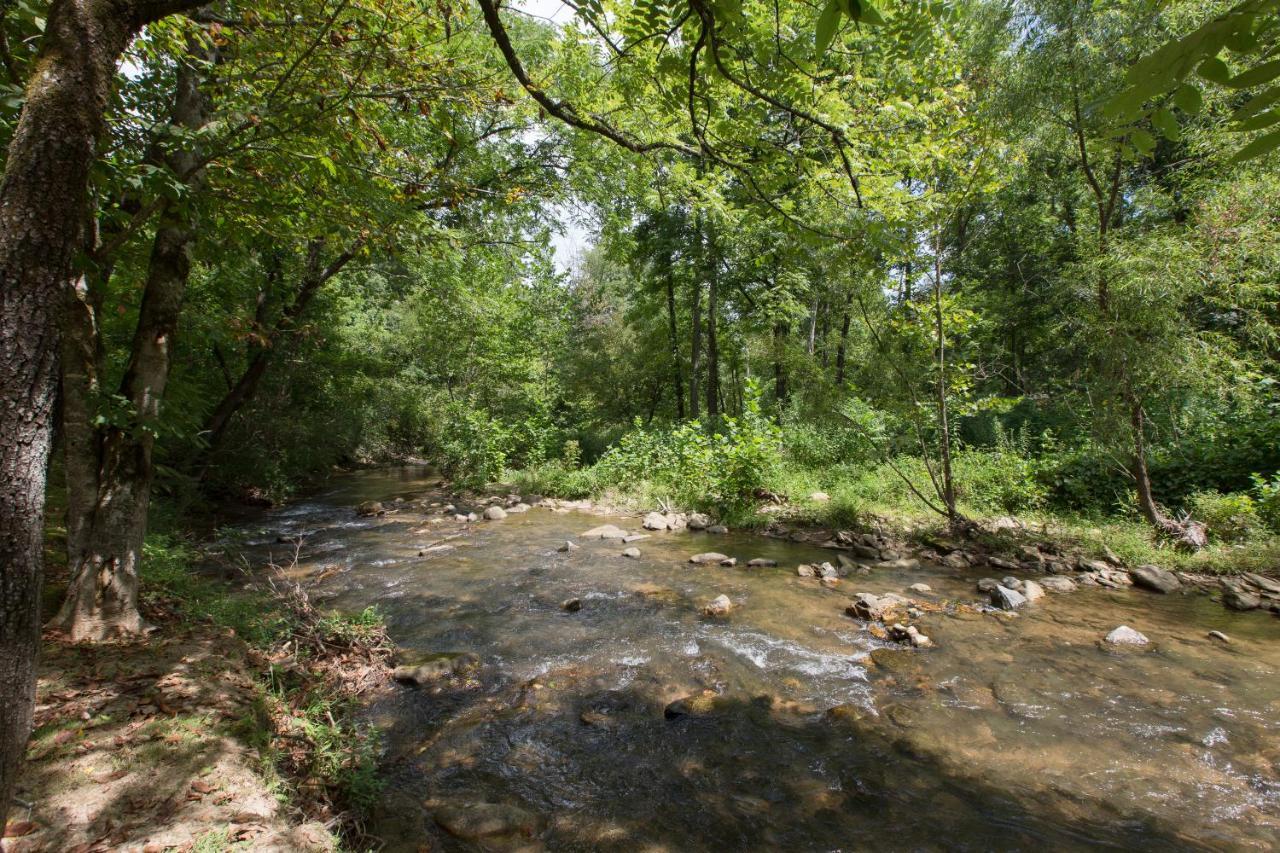 Reedy Patch Cabin Villa Hendersonville Luaran gambar