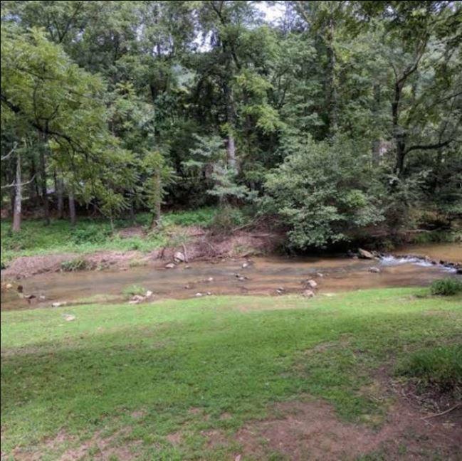 Reedy Patch Cabin Villa Hendersonville Luaran gambar